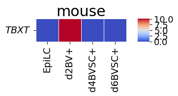 _images/tutorial1_36_0.png