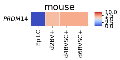 _images/tutorial1_36_4.png